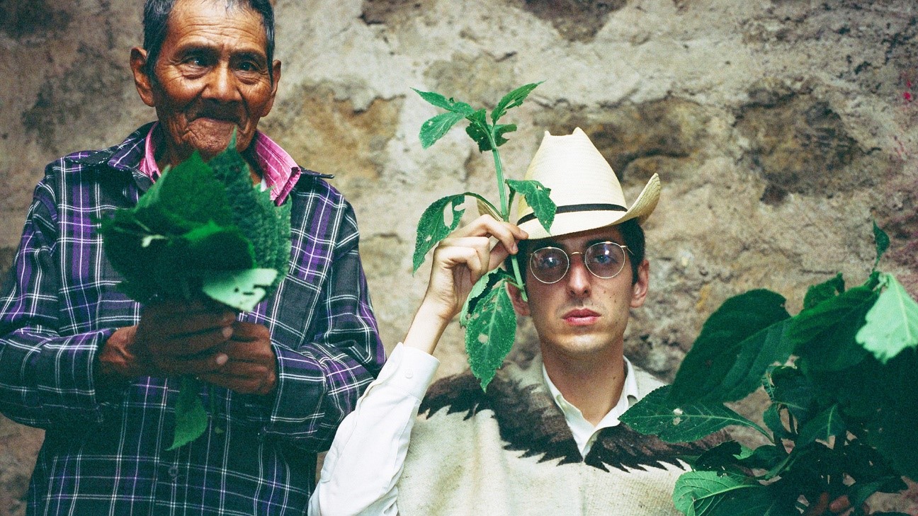 Hamiltons_Salvia