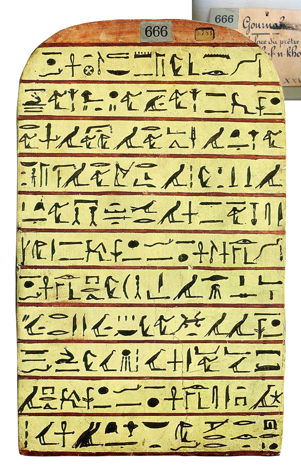 MasterStele.Back
